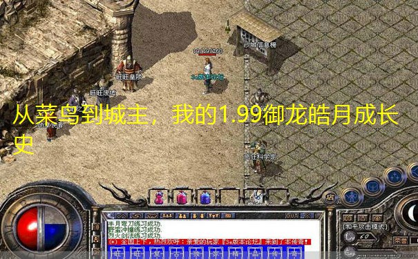 从菜鸟到城主,我的1.99御龙皓月成长史