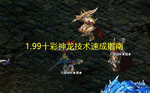 1.99十彩神龙技术速成指南