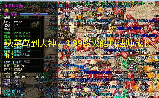 从菜鸟到大神:1.99毁灭皓月法师成长记